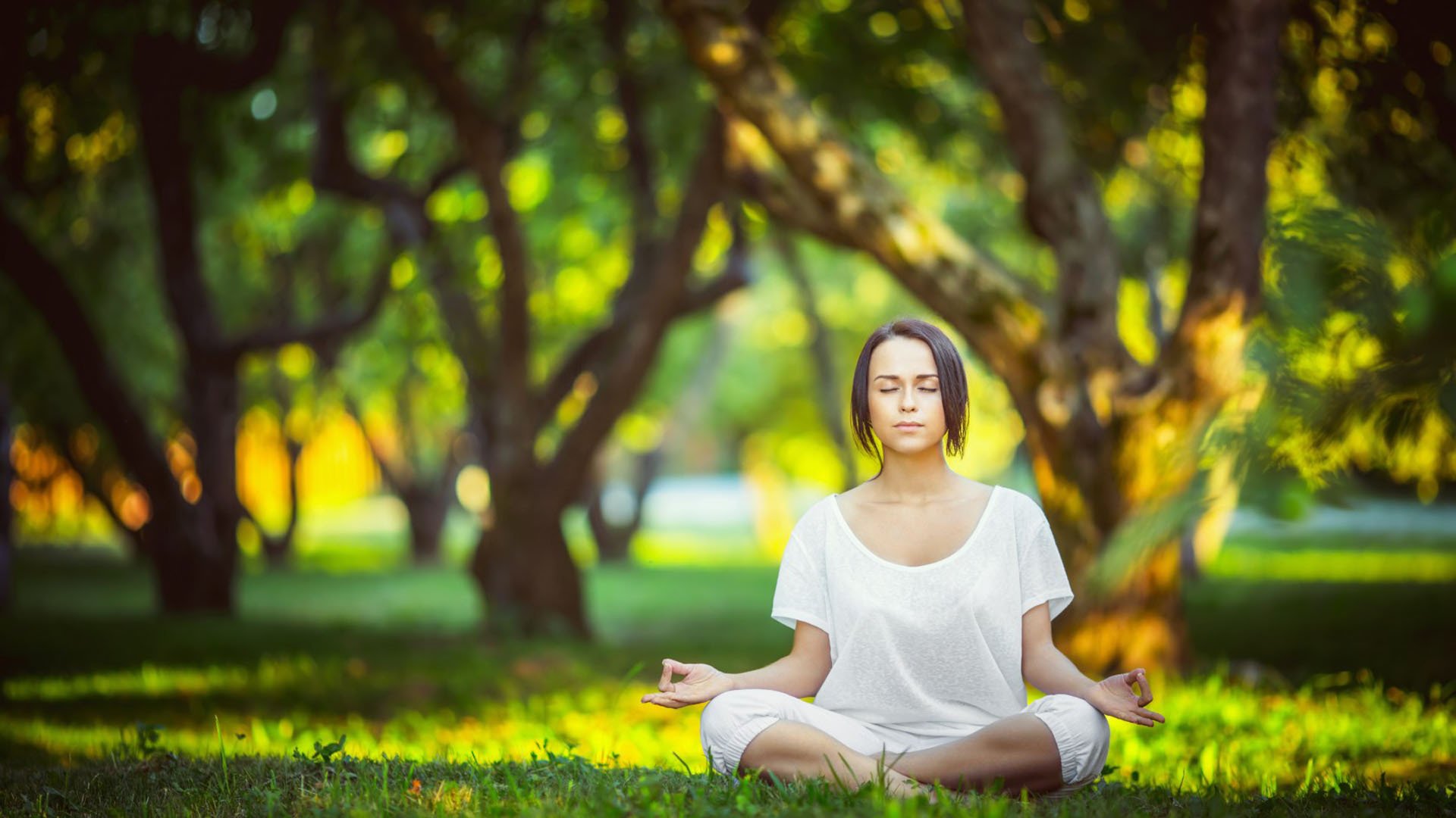 开云APP-D组风云，墨西哥碾压沙特，B费致命一击与临场魔法铸就经典之夜